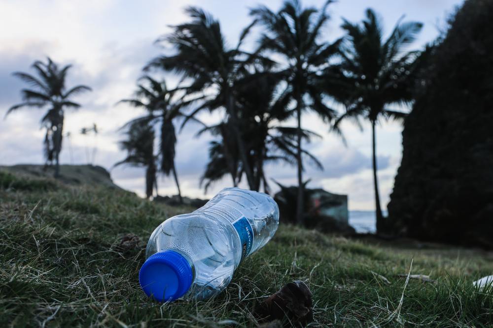 Plastic Waste: A Global Problem That Must Be Addressed