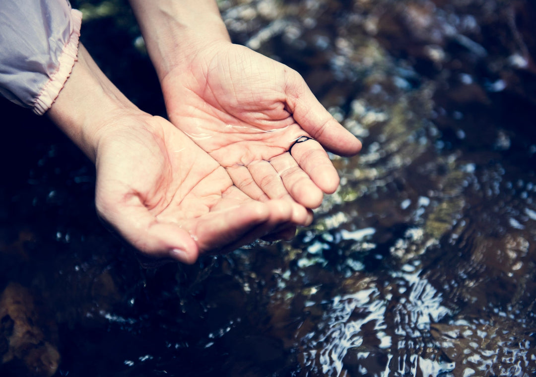 Clean Water for Camping:  Contaminants in Remote Water Sources