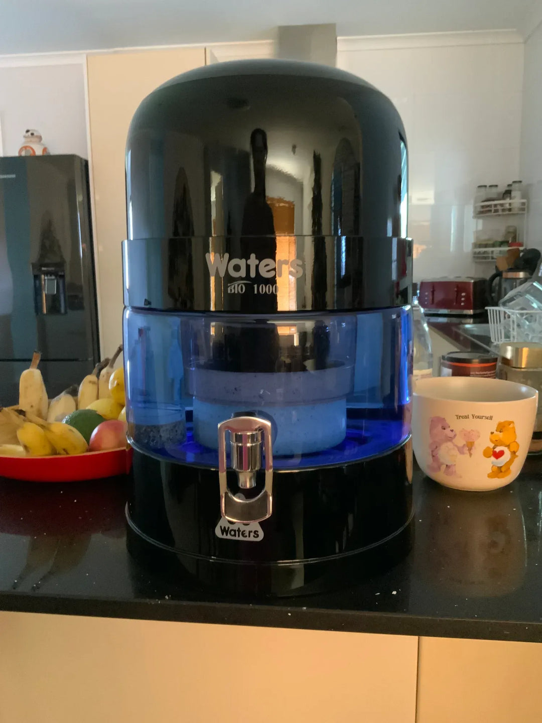 Waters Co Australia vs. Filter Systems Australia